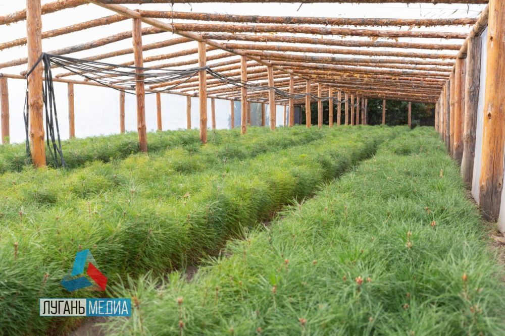 �������� ��������-��������� ������������� ��������� ���������� ����� 200 �� ����� �����, ����� ������������ ��, ��� ���� ��������� ��-�� ��������� ���