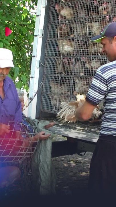 ������� ������������ ���������� �������� ������������ �������� ���������