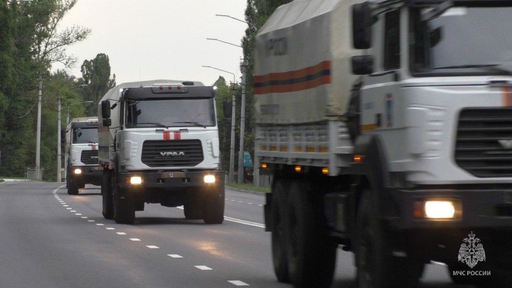 ������ ��� ������ �������� 81 ����� ������������ ������ � ��������� �������� ����������