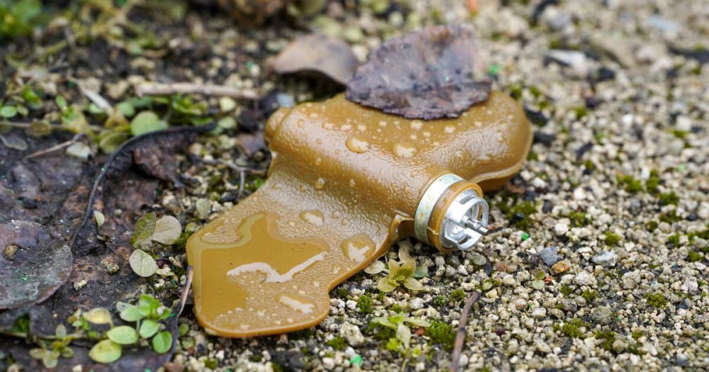 ������� ���������� �� ���� "��������" � ���������� ������ �������