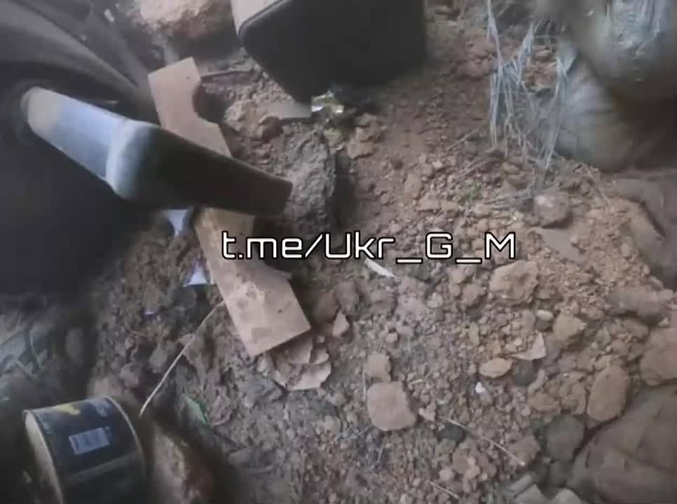 ��� ��������� �������, ����� �� ��� ��������� ��� ����������: ����� � ������ �����������