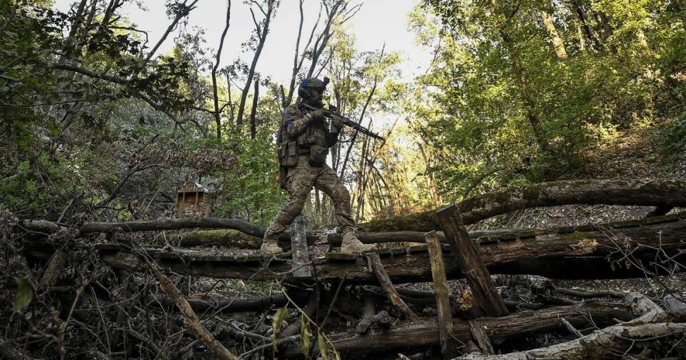 ����������: ��� �������� ����� 1700 ������� �� �������� �����������