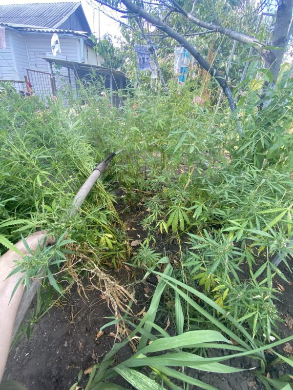 � ����������� ����������� ������ � �������� ������ ������������� ��������