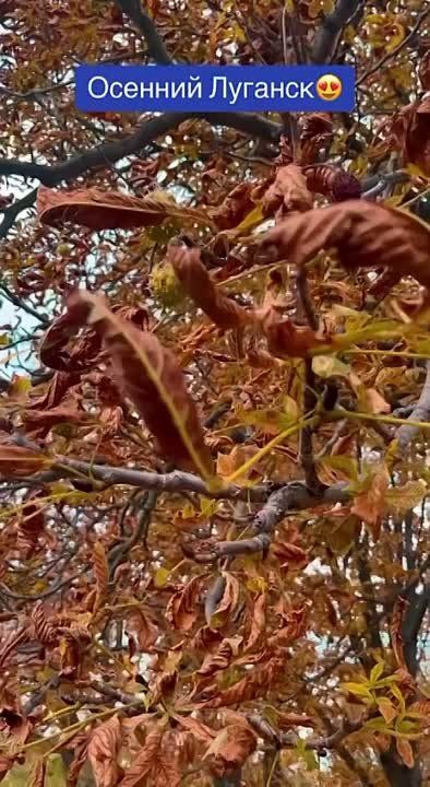 �� ������ ��������, � ��� � �������� ������������� ������� ���������� ������ ���� ������� ����� �� ������� � ������