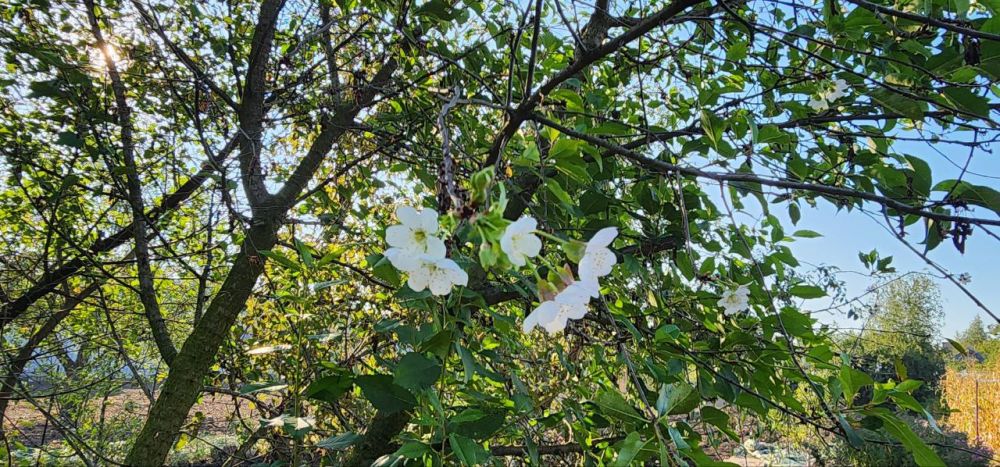 ������ �������: 18.09.2023. �������. @marochkolive