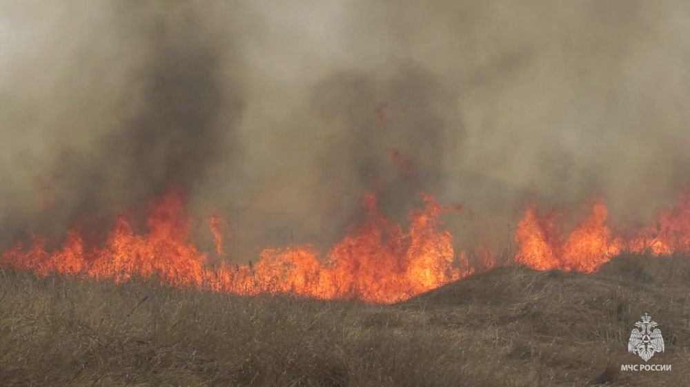 �������� �� ��������� �����, ����������� ������ � ��� �� ������������