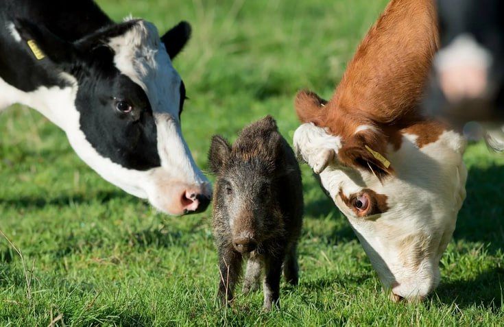 ������� ��������������� �������� �������� � �������� 25 ��������