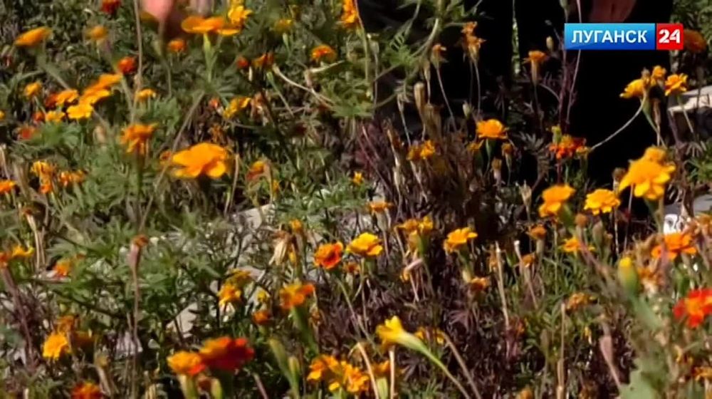 � ����� ������� ��������� �������� ������ �� ���������� �������� 24� �� ������� � �������������� ��������������� ������