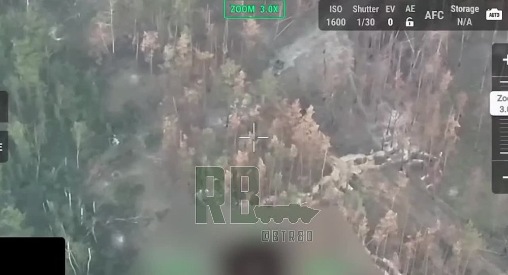 ����������� - ���������.