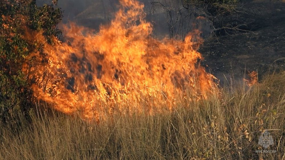 �� �������� ������ ������������ 21 ����� � ���������� ����������