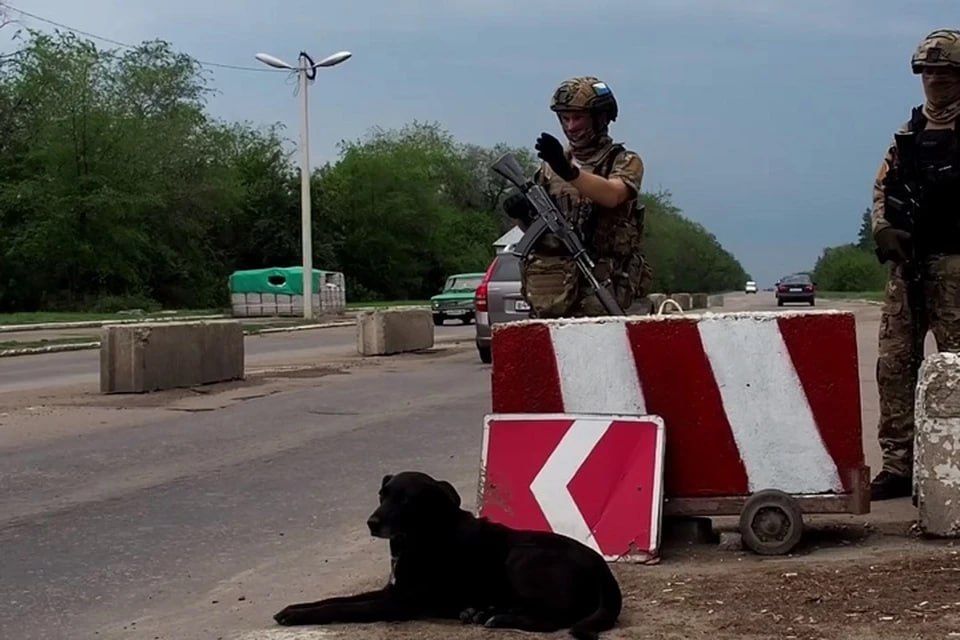 ������������ ������� ������ ���������� ��������� � ��� ������������