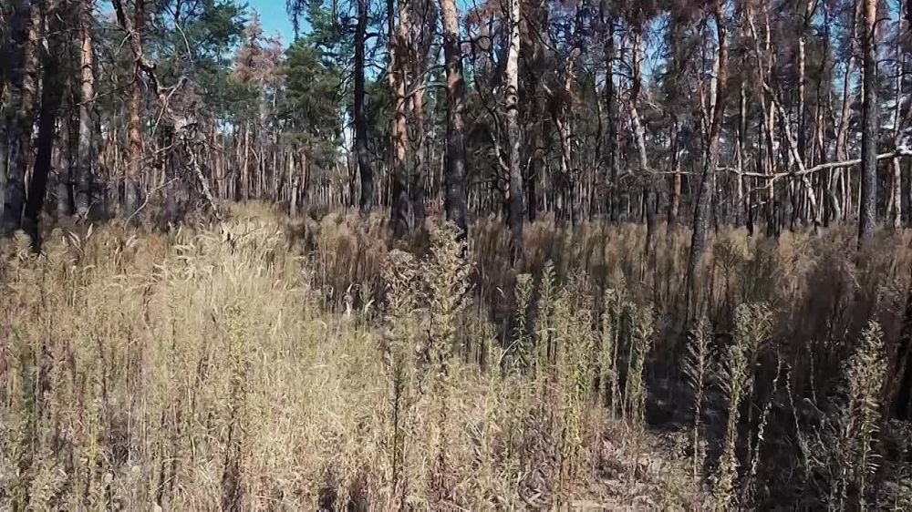 � ������ �. ������������ ������������ ���������� ������ � ����������