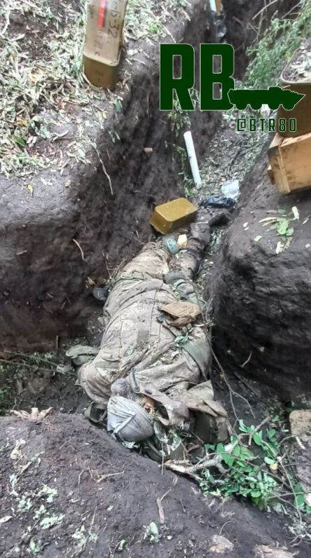 ���������� ����������� "��������" ��������� ���������� ������� ��� ���������