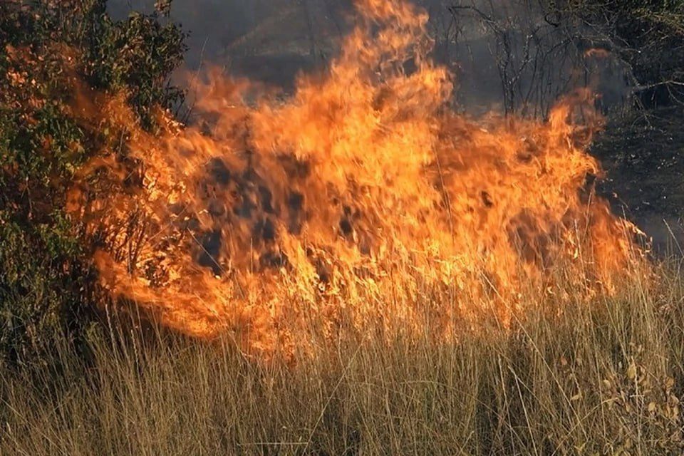 � ��� 19 �������� ������ 21 ����������� �����