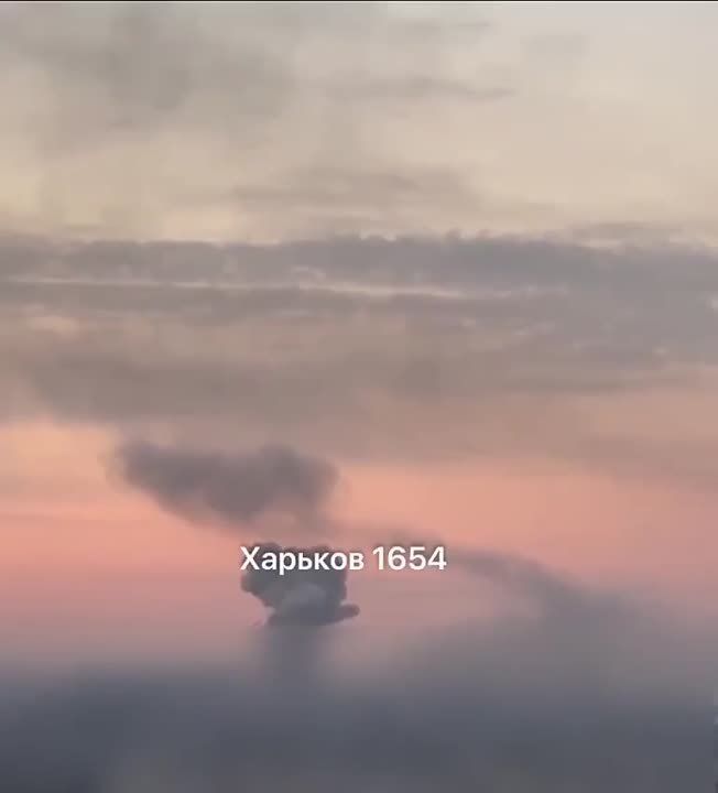 �������, ��������������, ��������, �����������, �����, �������, �����, �����-���������, ���� �������������� ������ ���������� �����