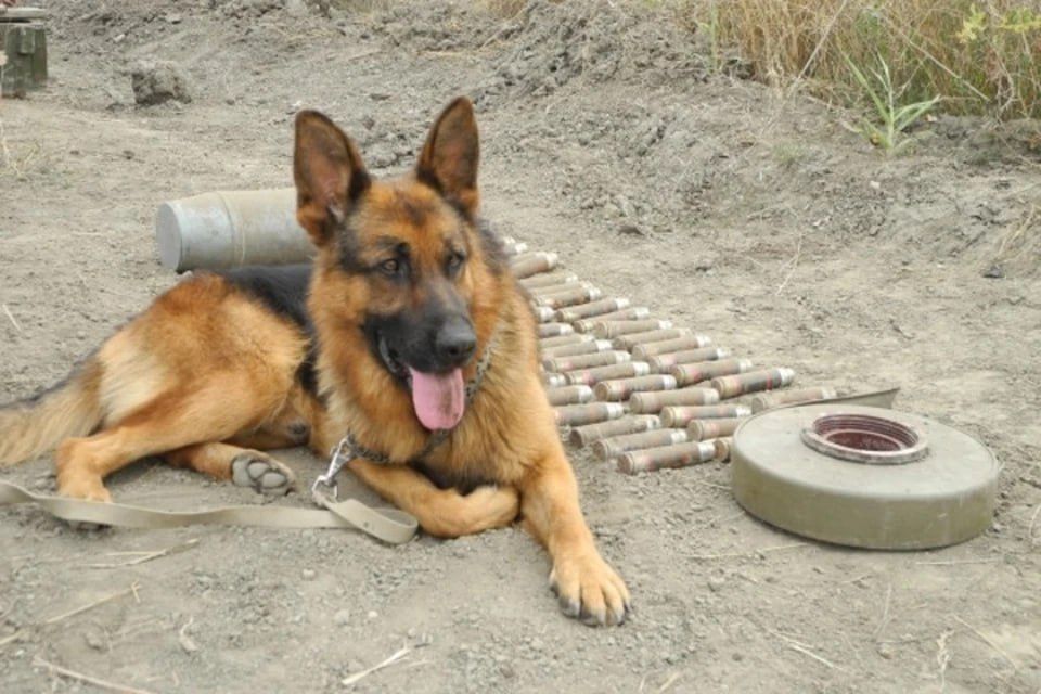 � ��� �� ����� ���������� 38 ������������� ���������