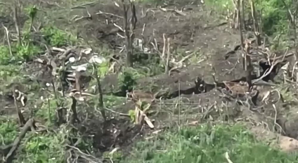 ������ ��������: � �������� �� ����� ������