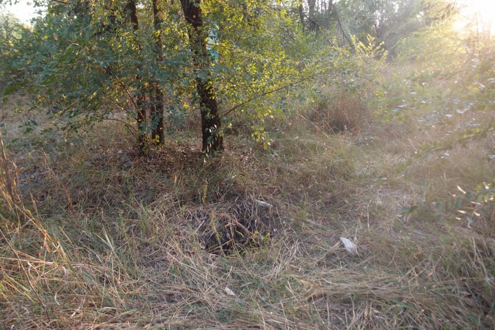 ������������ � ������������ ���� �� ��� � �. ������������ ��������� ������ � �������������� ����������