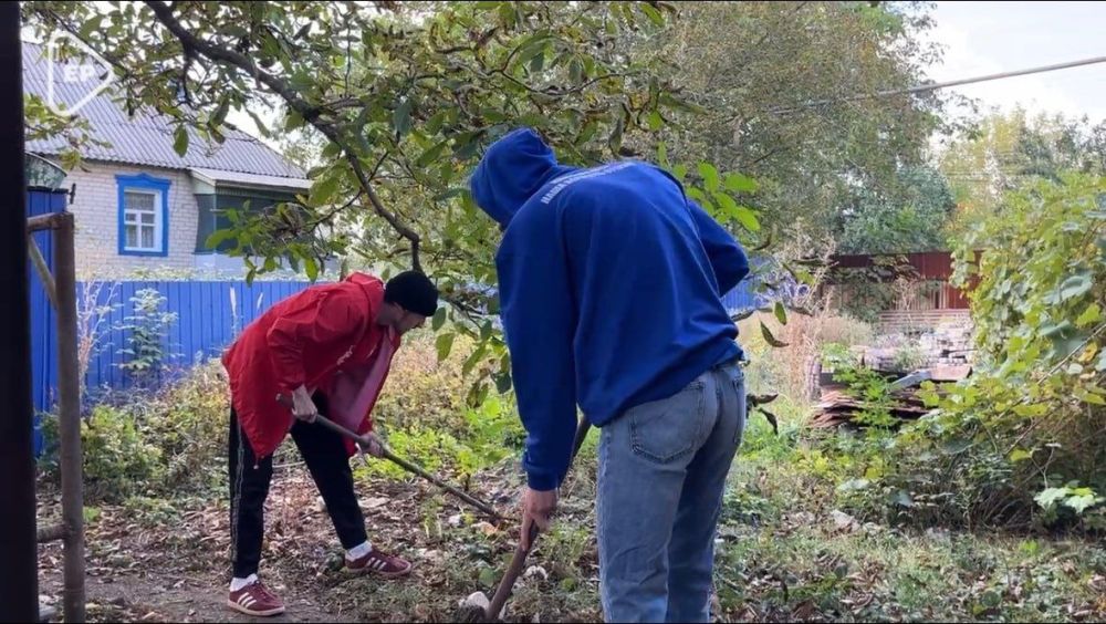 ���� � ������������ ���� ������� ������������ ����� � ��������� (���)