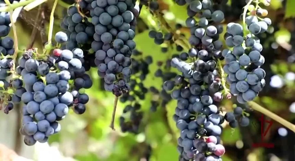 ���������� ���������� ������� ������������ ������� � ����� ��� ������ � ������ ������ � ����� �� ���������� ������� ���, �������� � ���������