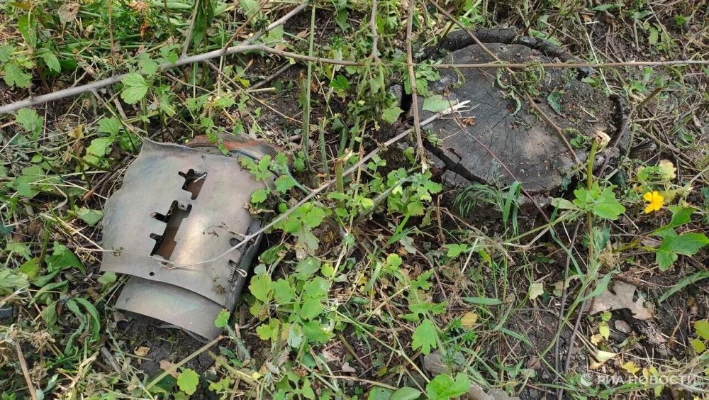 ��� ���������� �������� ������ � ���