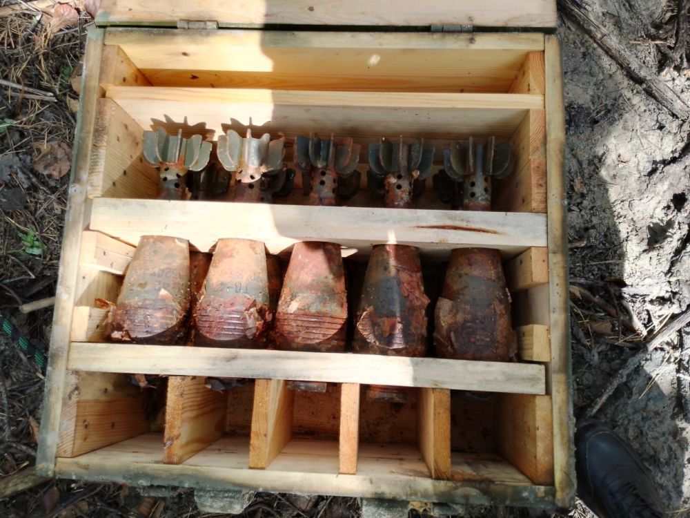 ������������ � ��������-��������� ������ ���������� ����������