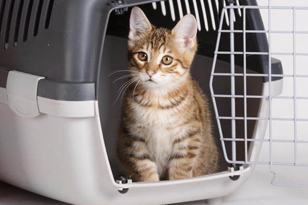 �������� ���������,. �������������� � ��������� ���������!