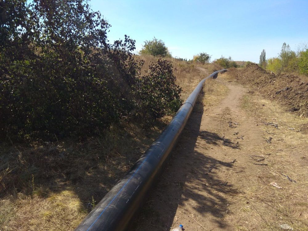 ��� ��� "�����������" ��������� � ������� ������������� �������� 2 �� ��������� �������� ������������� ���� � ��������� � ������