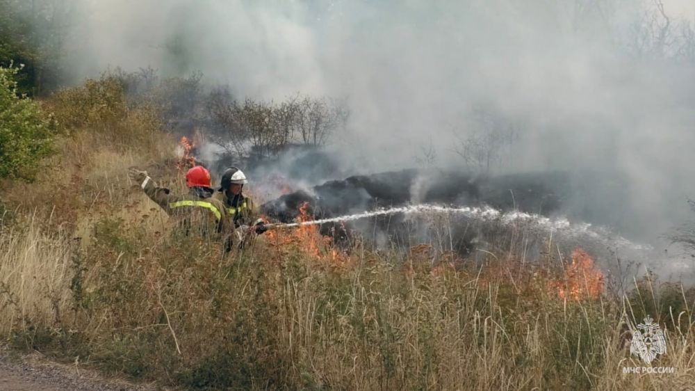 ���������� ����������� ������� � ���������� �� ������������ �� �� ����