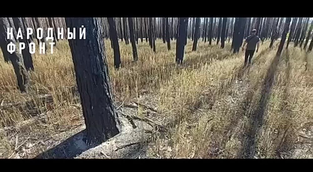 ������-���������� ���������� ��� �� ��������� ����������� ��������������