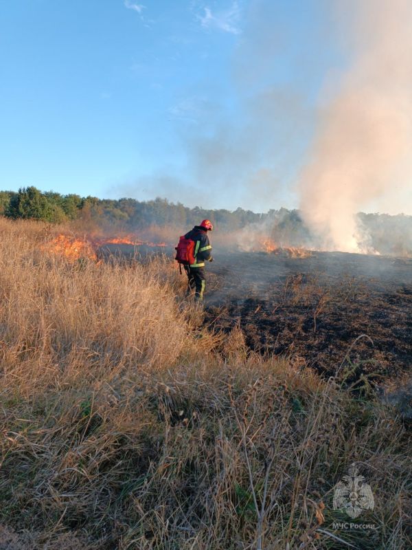 �� ���� �������������� ������� ���������� ���������� � ���������� ���������� �� �����������