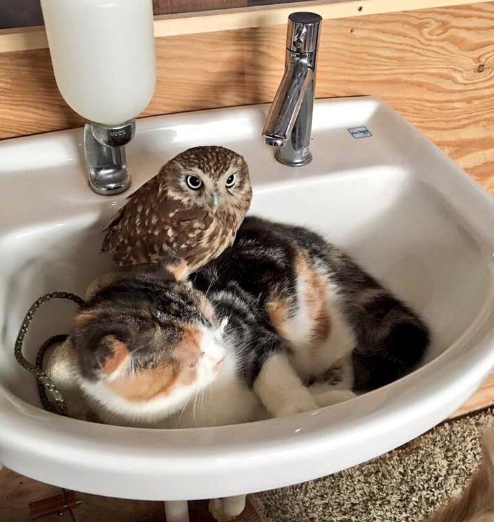 ������������� ����� ������������ ������ ������������ �������