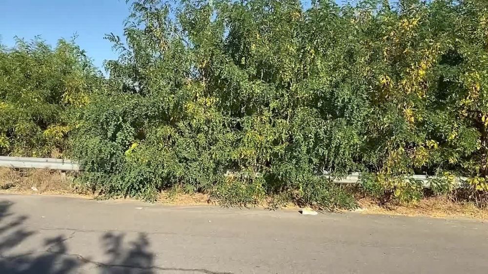 � ��������� �������� ���������� ������������ ��� ������ ��� ������������ ������������ � ��������� ������� ������� ���������, �� ������� ��������� ������������� ��������� ��������� ������ � �������������� ������������� �������, ������������ � ���������