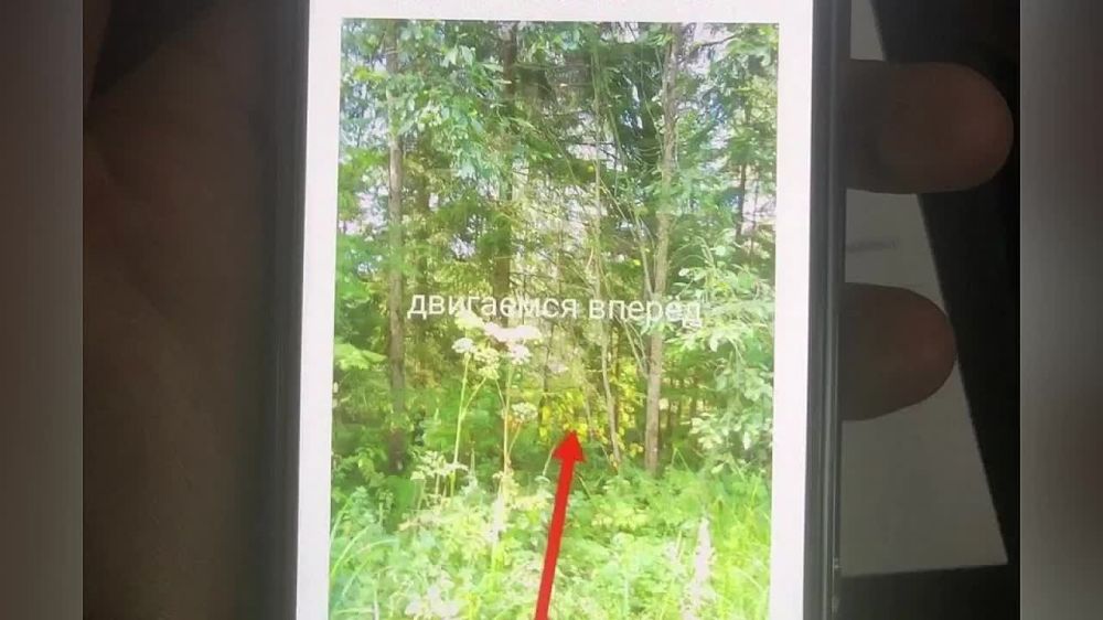 � ��������� �������� ���������� ������������ ��������� �������, ����������� ���� ������������