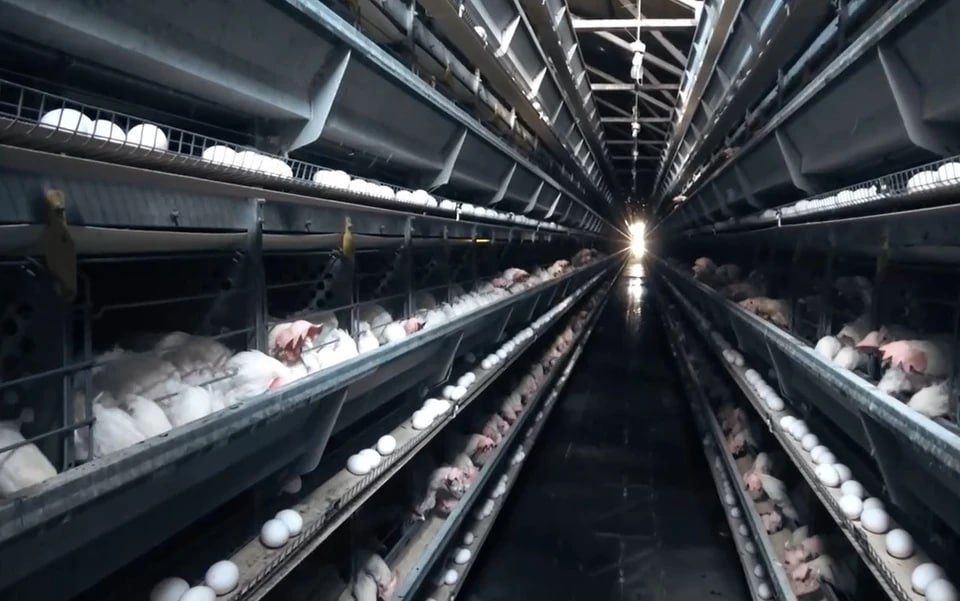 � ��� ������ 75 ����� ��� �� ����� ���������� ������ �� ������������