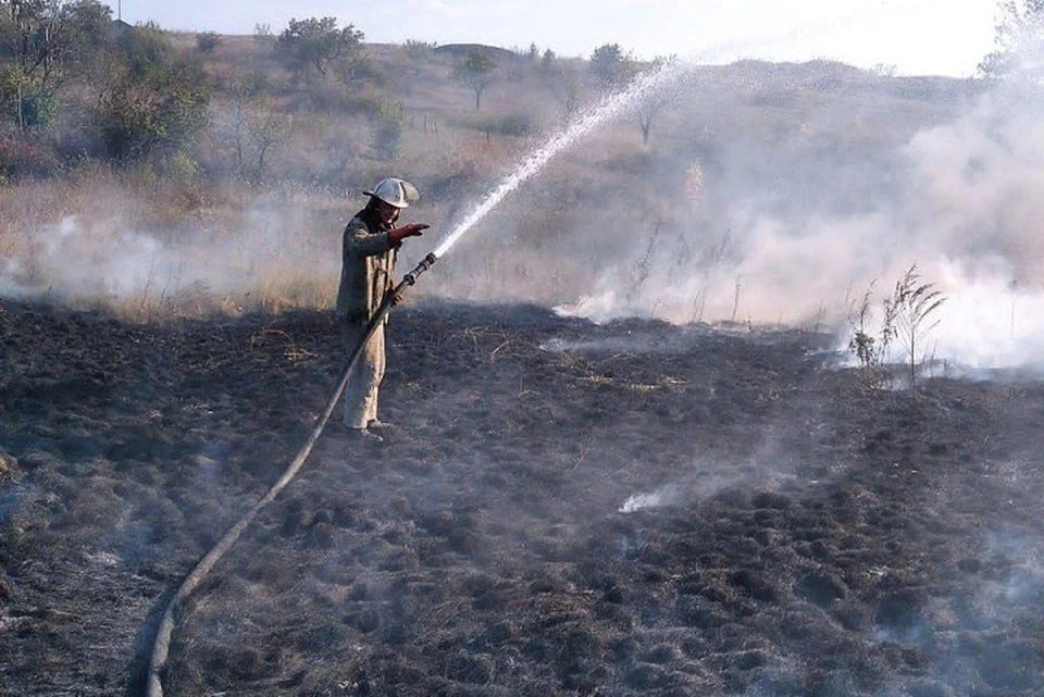 � ��� 26 �������� ��������� ������ 49 ������� �� �������� ����������