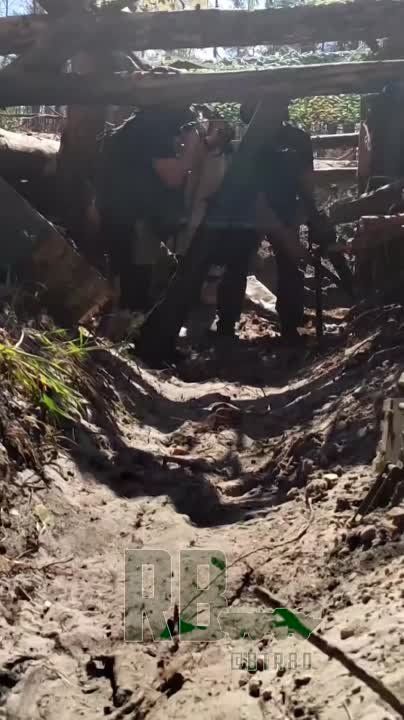 �����������- ��������� ����������� ����������� "�������� " ������ ������� �������� "�����"