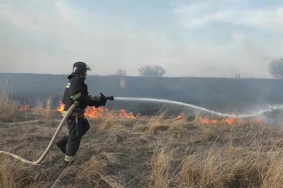 � ��� 27 �������� ��������� 42 ������ �� �������� �����������