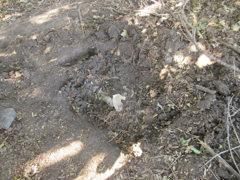 � ������������� ������ ������������ ��������� ������ � ���. � ���� ����������� �� ��������� � ���������� ����������� �������...