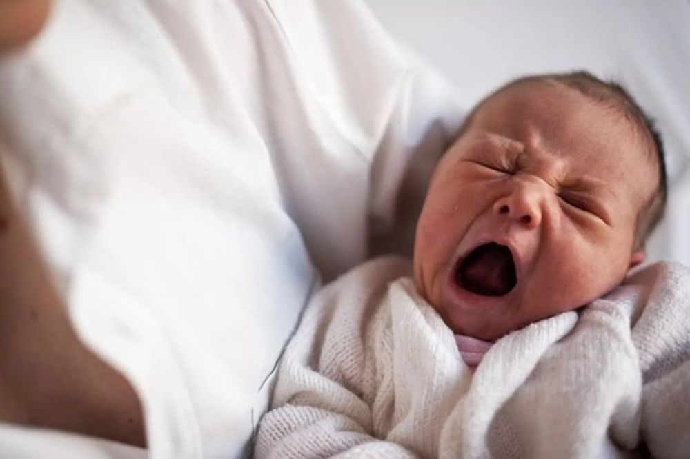 �� ������ � ��������� �������� ���������� �������� 119 �����: 67 ������� � 52 ��������