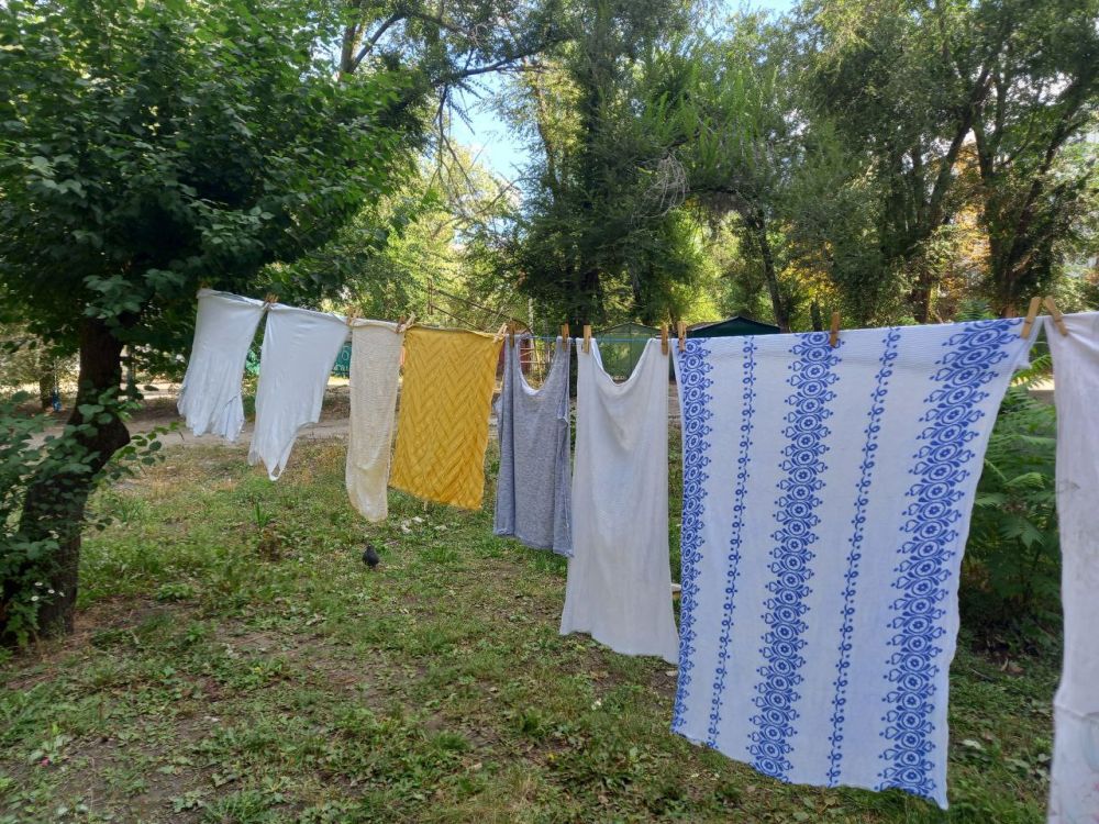 �� +29 �������� ��������� � ��� 28 ��������