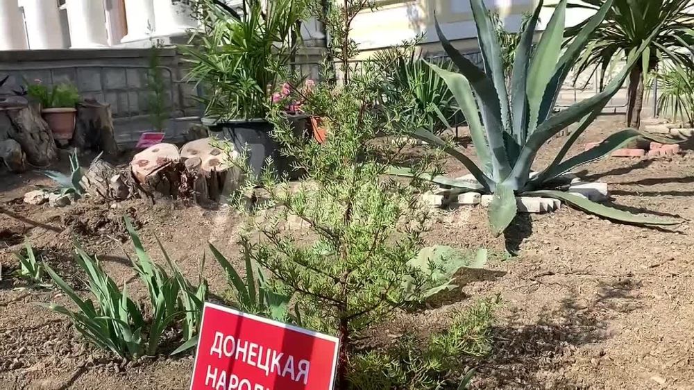 � ���� ��������� � ��������� ������������� ������ � ������ �������� �������� ���� ���������, ��������������� ����� ���������� �����