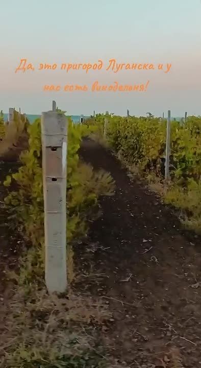 � �� �����, ��� � ���������� ���� ���������� �������������� ��������� �������?