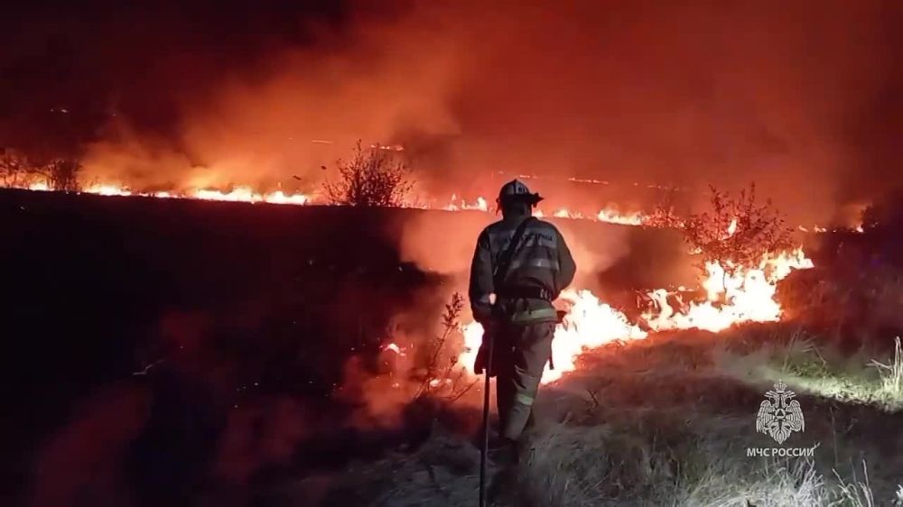 ��� ������������ ��������� ����� �������� ������� �������� � ���