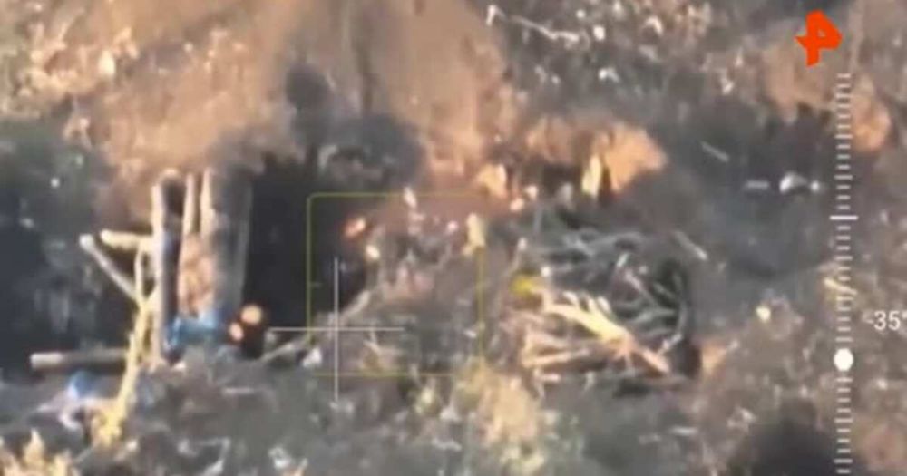 ���������� ������������ ���������� ������ ������ ��� ��� ����������