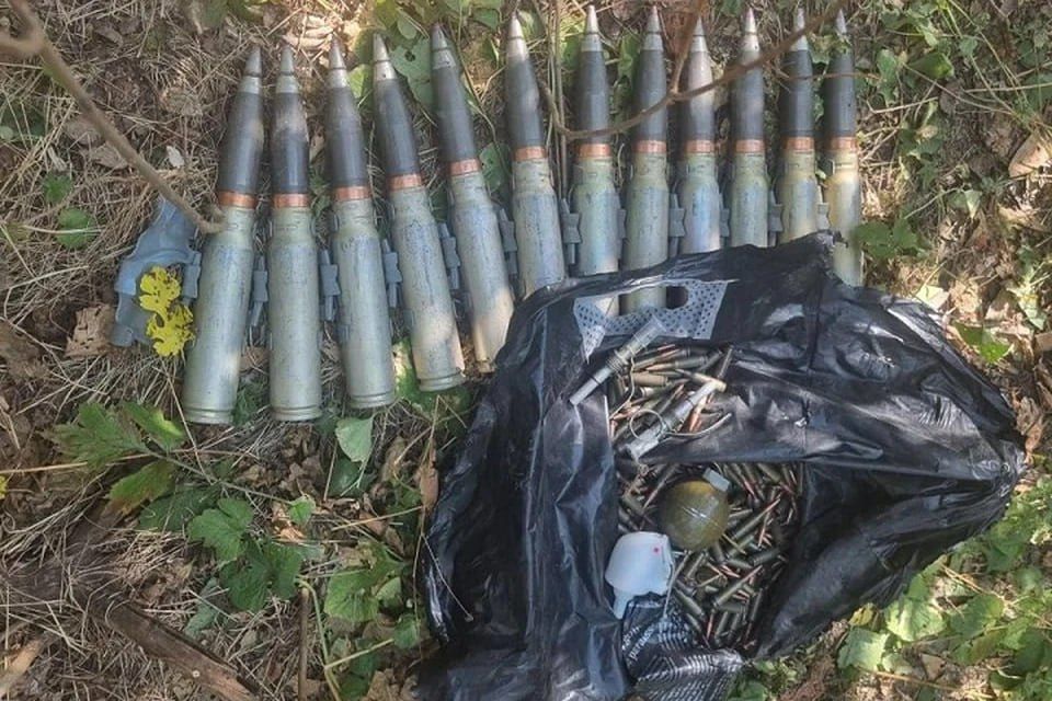 ������� � ������������ ���������� ����������� � ���. ����������� � ������������ ����� ������� � ������������ � ������� ����� ��� ������� � ��������� �������������� ������