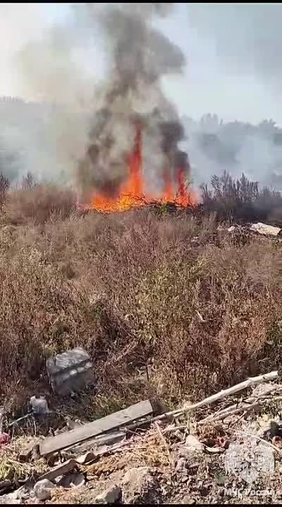 ���������� ��� ���������� �������-������������� ������ ���������� ������������� ����������� ����� � ������ ��������, �� ������� ����� 800 ��. �