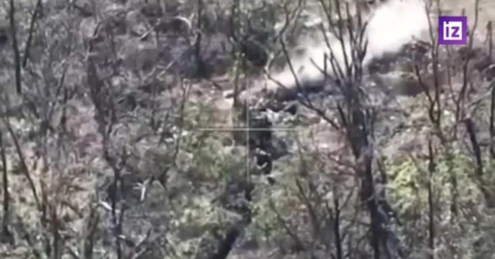 ����� ������ ����������� ������� ������� ��� � ������ ���������