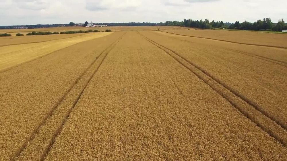 �������, 30 ��������, �� �������� ���� ������������� ��������, ��������� �������� ���������, ����������� � ���������� �������� � �������