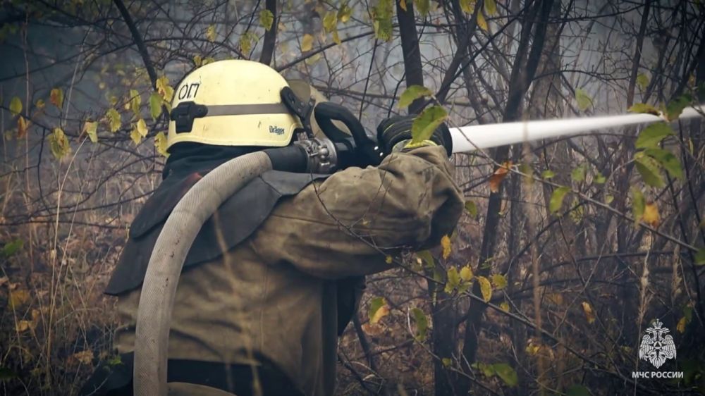 ������� �� ���� ��������� ��� ���������� �� �������� ����������� ���